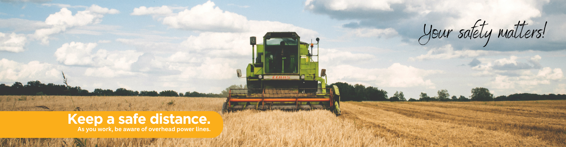 harvest, field