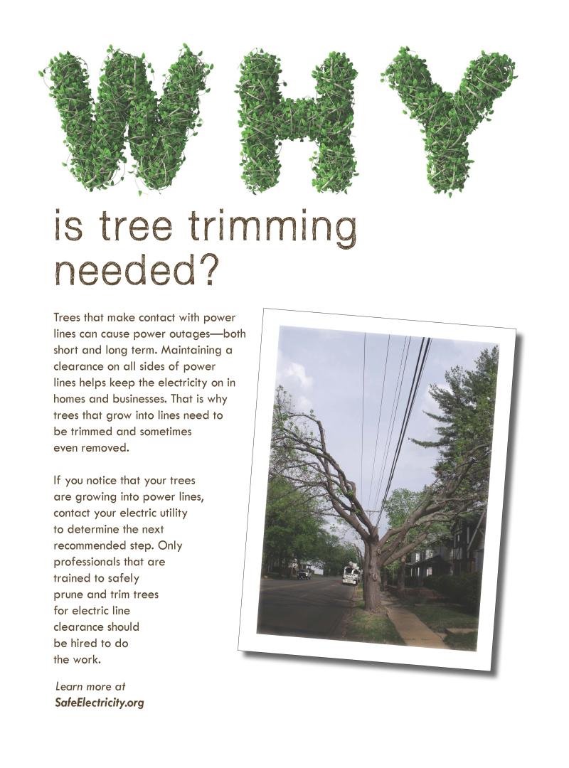 Why Tree Trimming